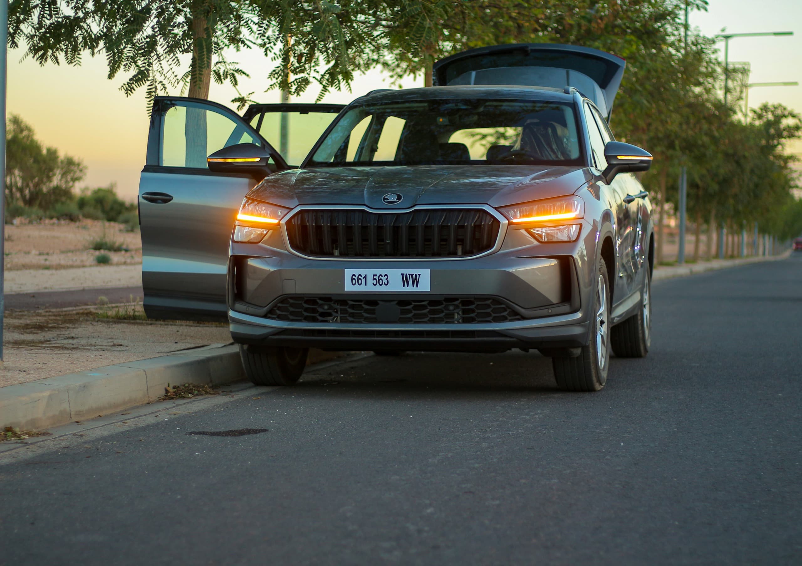 Skoda Kodiaq 2025 - Green - Image 2