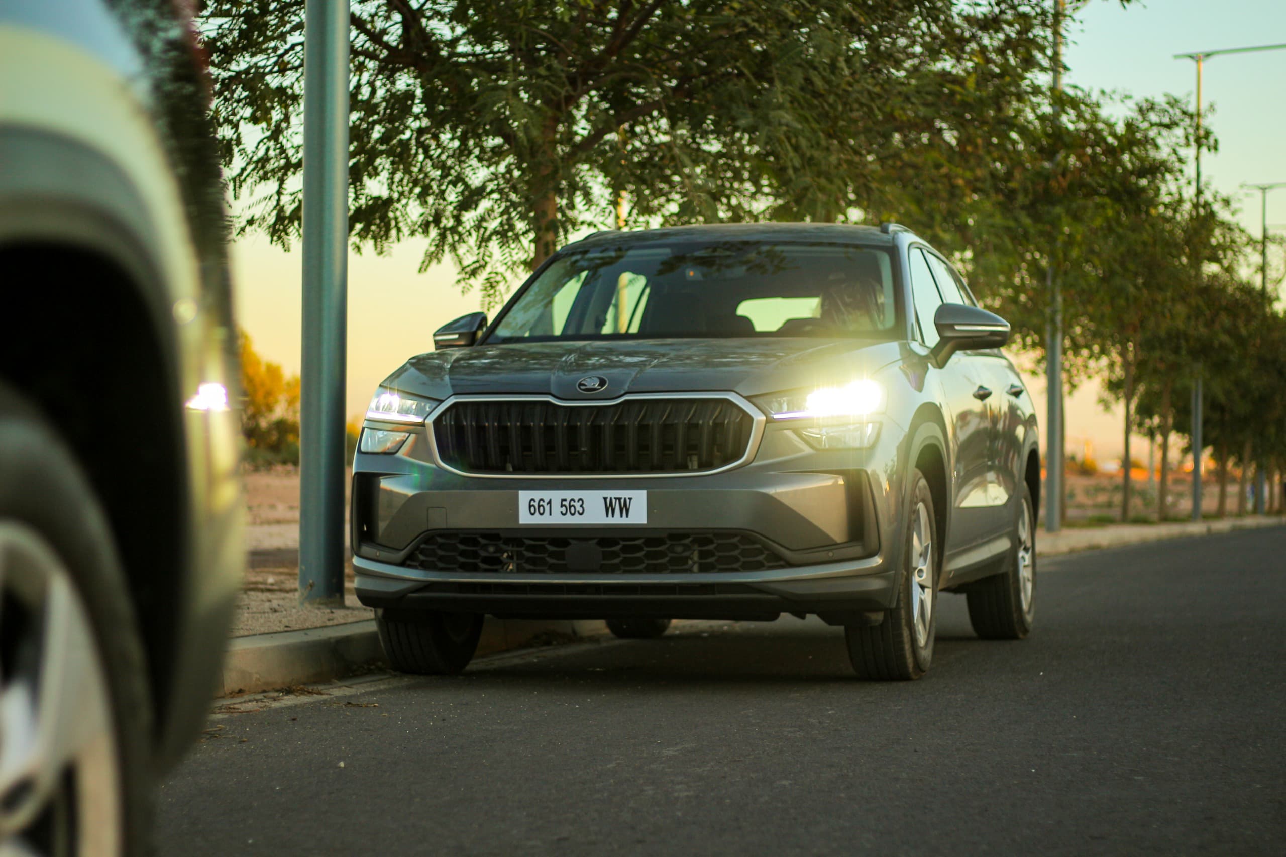 Skoda Kodiaq 2025 - Green